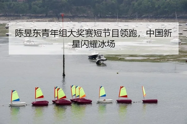 chen-yu-dong-qing-nian-zu-da-jiang-sai-duan-jie-mu-ling-pao-zhong-guo-xin-xing-shan-yao-bing-chang-2-309.jpg